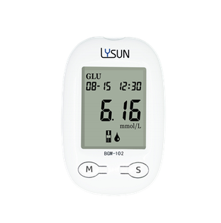 Iysun BGM -102 n電気化学法血糖試験計
